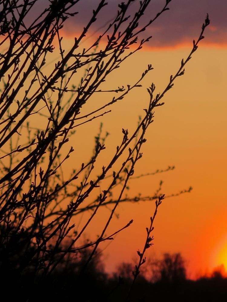 Photograph by Дарья Овсянникова