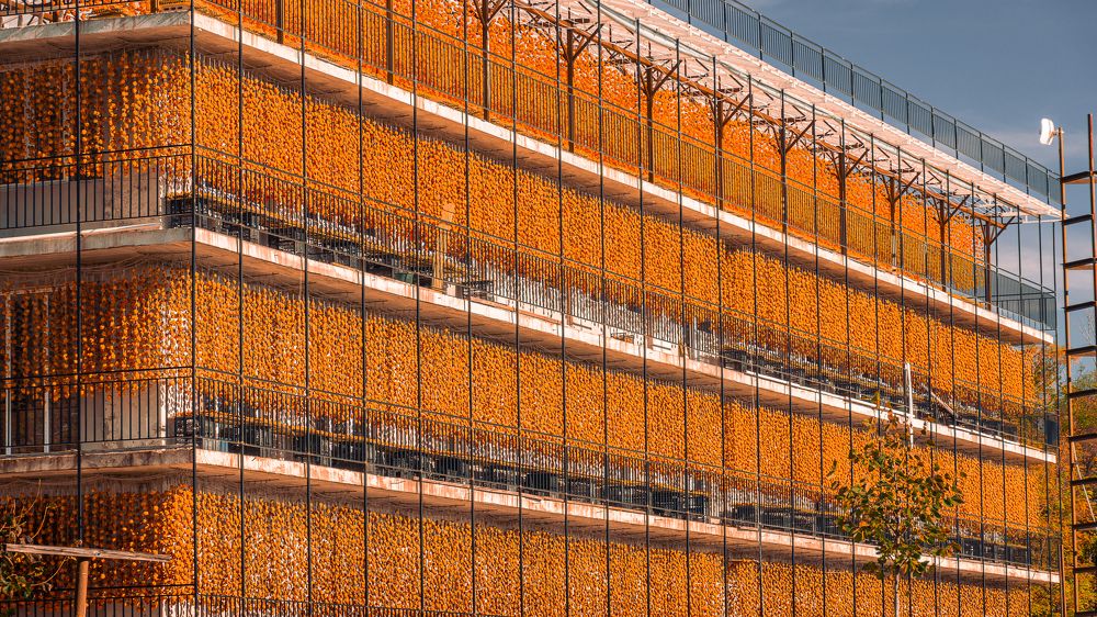 Photograph by Наталья Кокорина