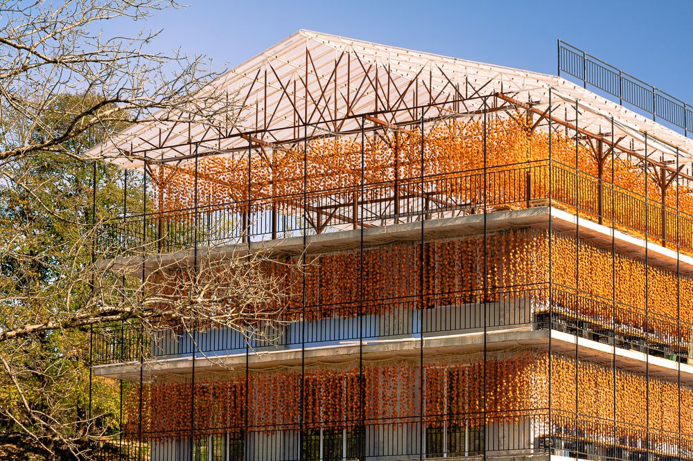 Photograph by Наталья Кокорина