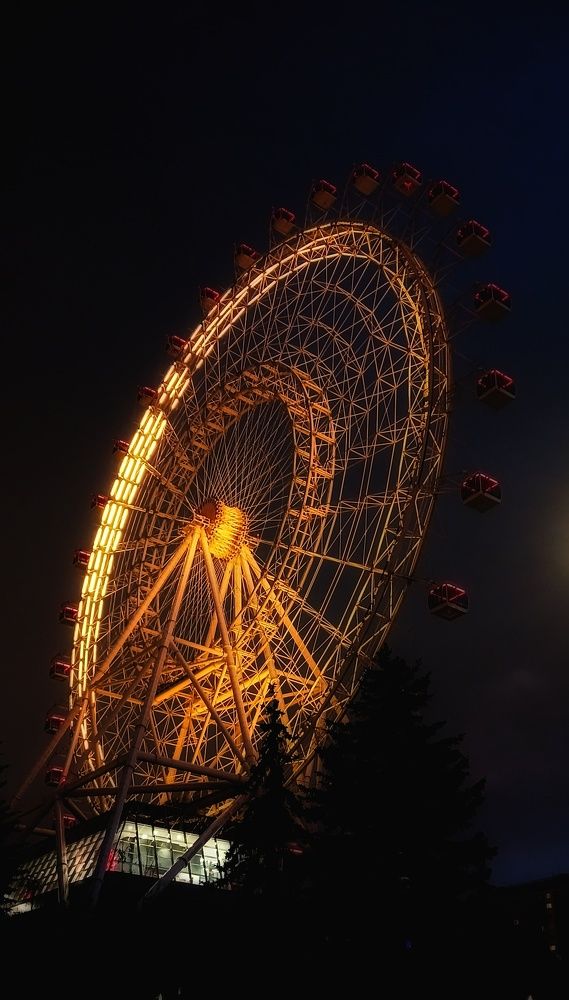 Фотография автора Valerya Vasileva