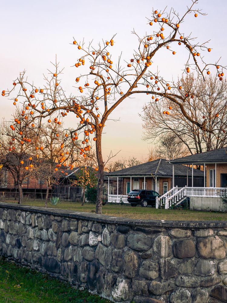 Photograph by Наталья Кокорина