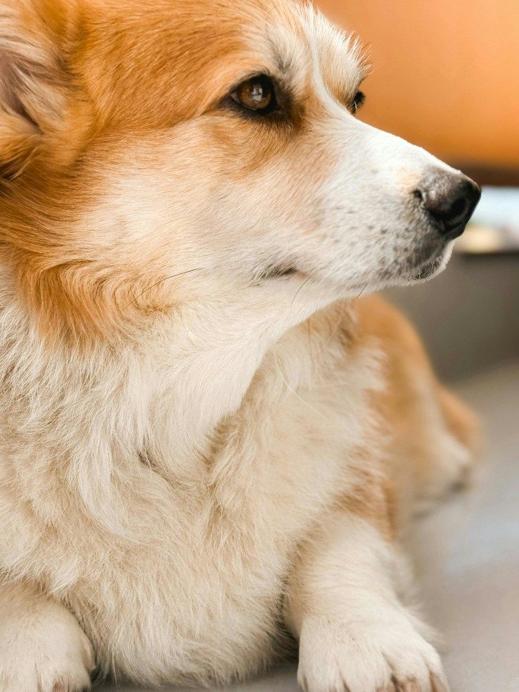 Photograph by Marina Zvada