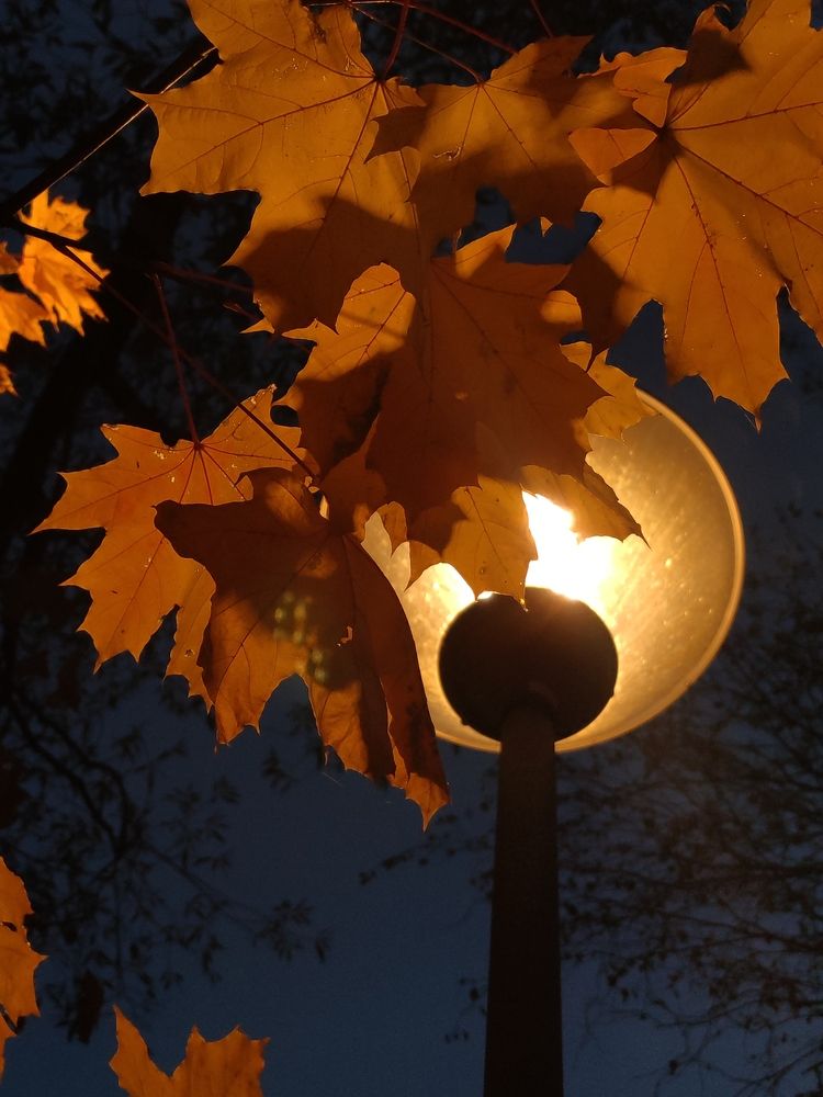 Photograph by Екатерина Алексеева