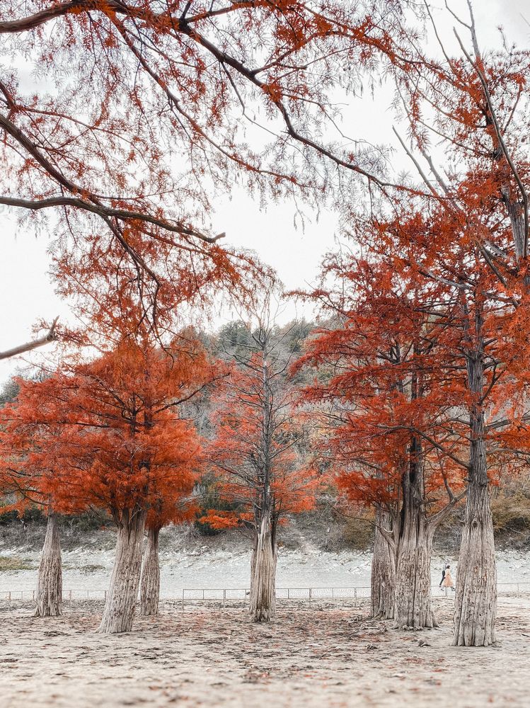 Photograph by Соколова Виктория