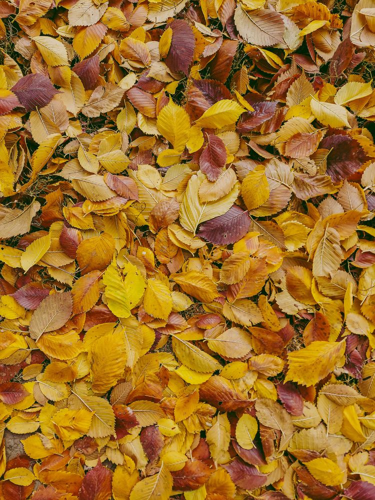 Photograph by Дарья Овсянникова