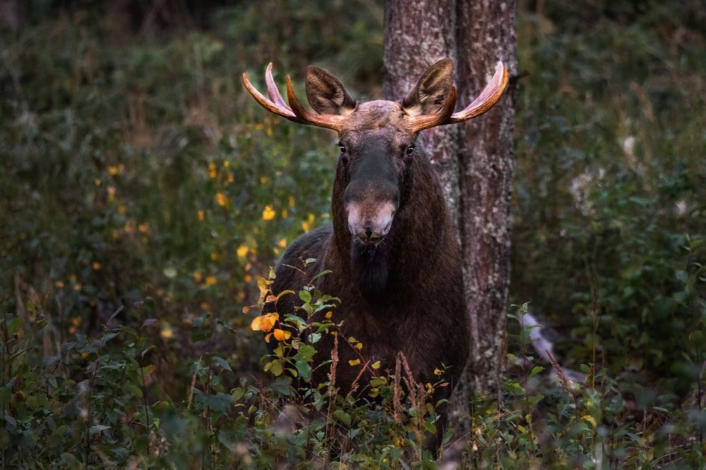 Photograph by Dace Spalvina