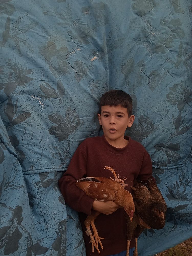 Photo #11489782