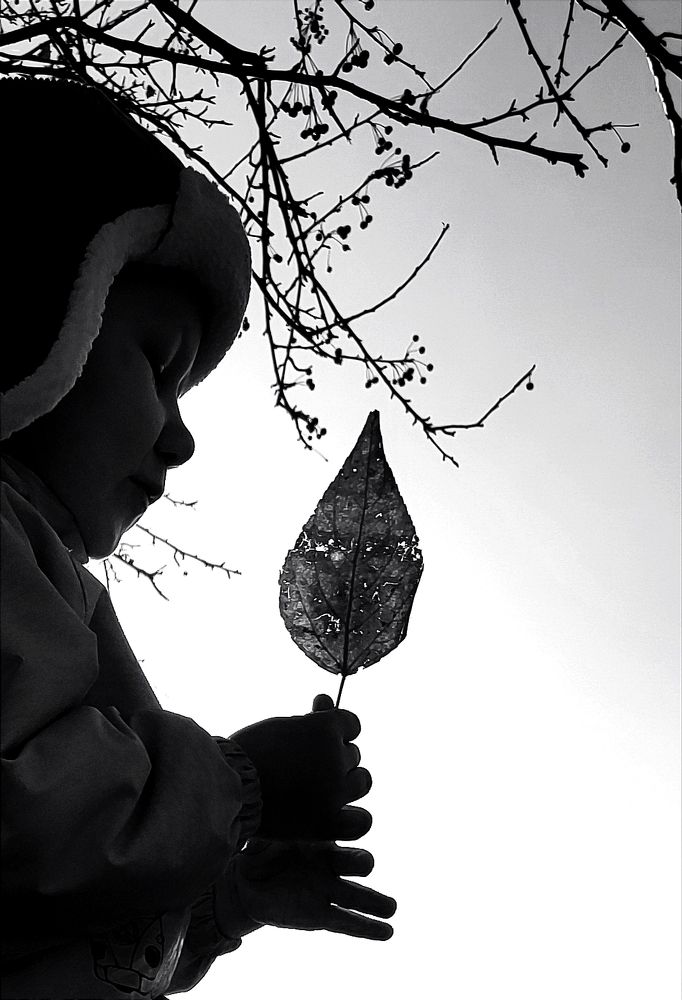 Photograph by Наталья Смирнова