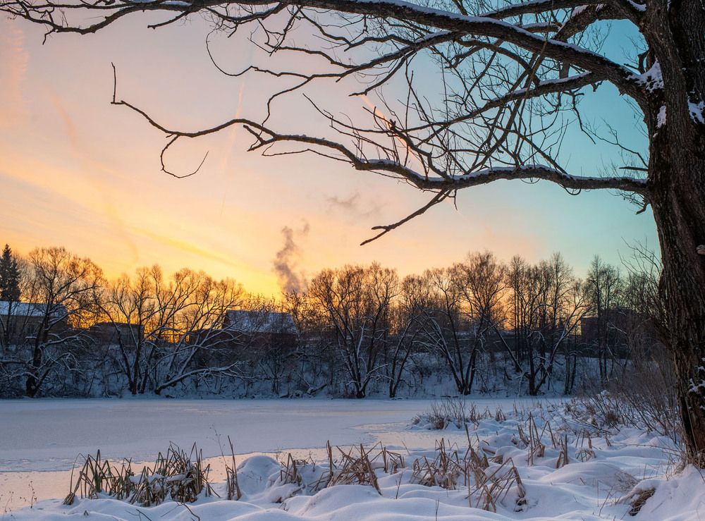 Вязёмка. Гелиос 81н