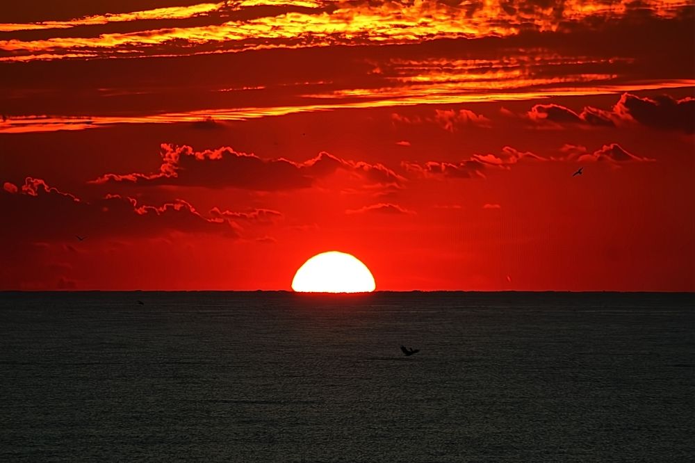 Фотография автора Jeff Cooley