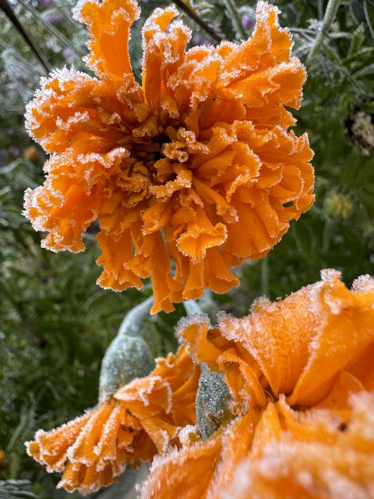 Photograph by Марина Сальникова