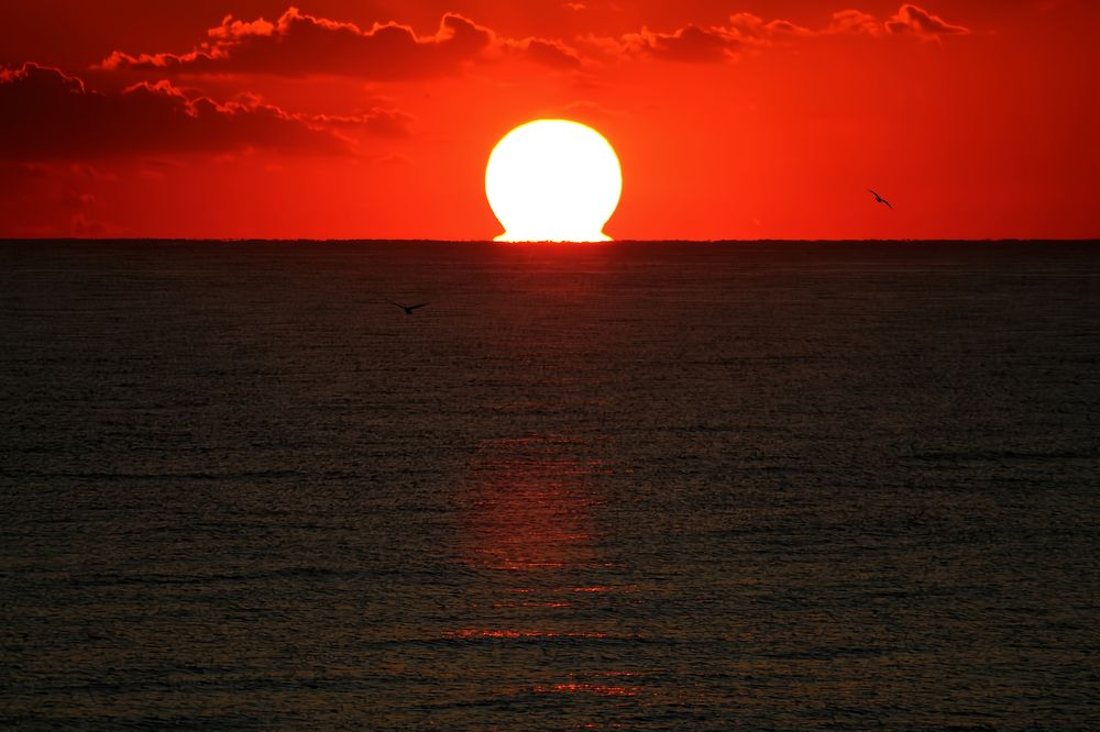 Фотография автора Jeff Cooley