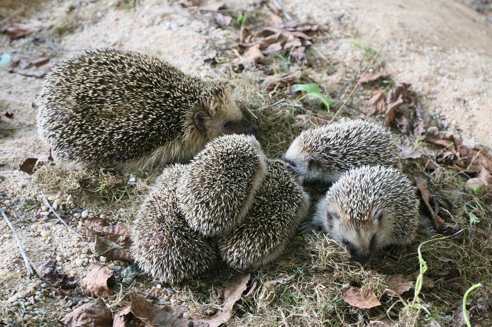 Photograph by Dagmar Vopolková