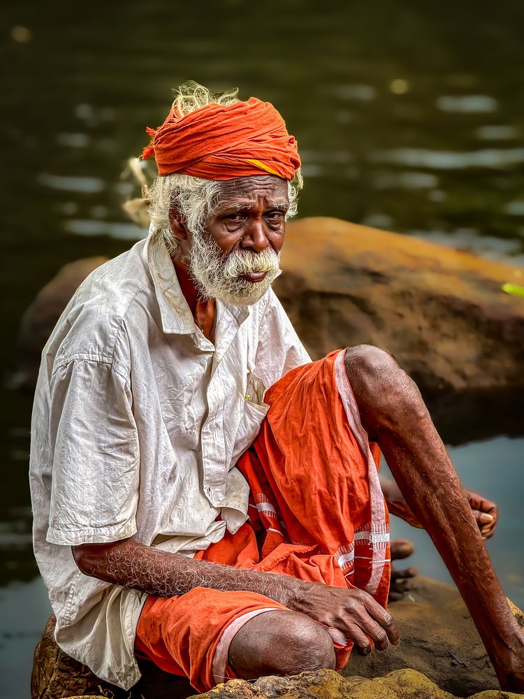 Age and Experience is the Treasure of a Jungle