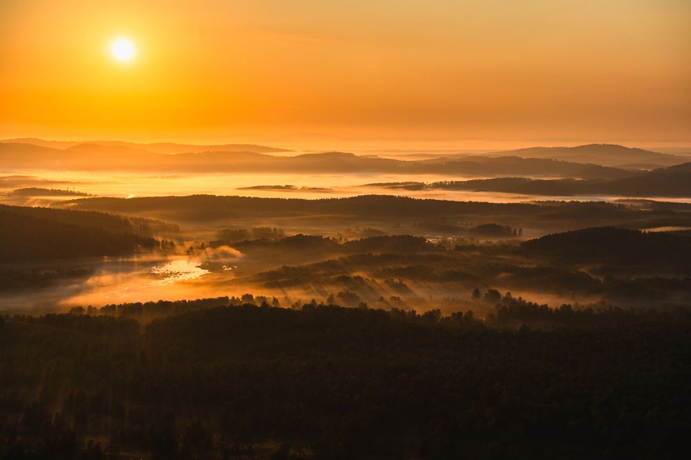 Золотой туман