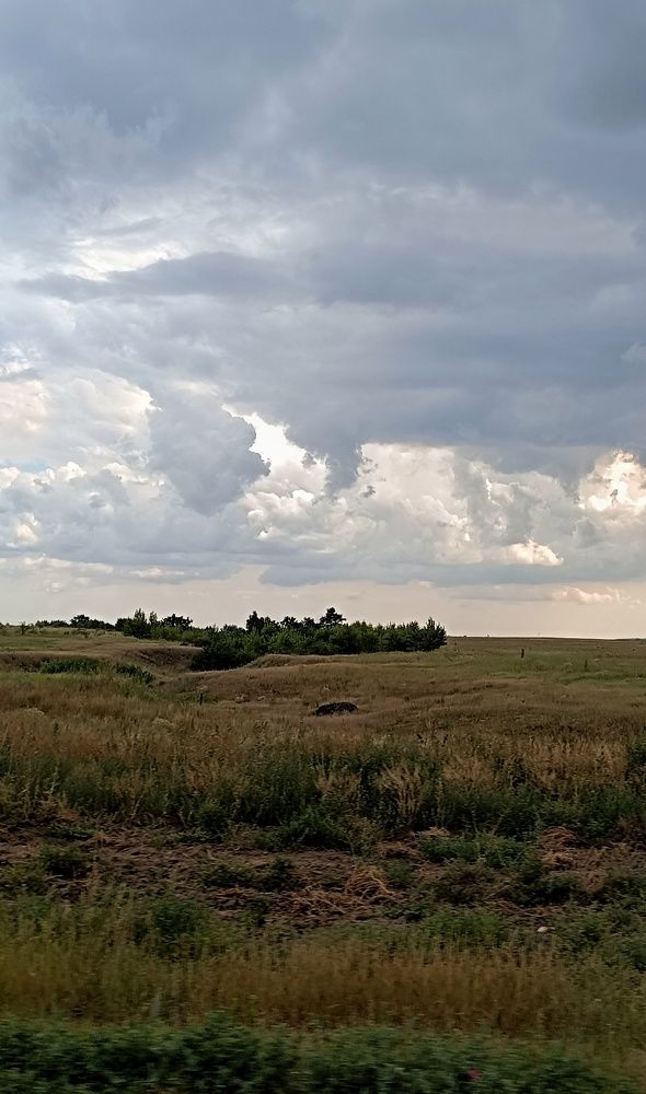 Фотография автора Светлана Анатольевна Чернышова