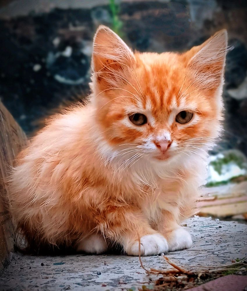 Photograph by Наталья Назаренко