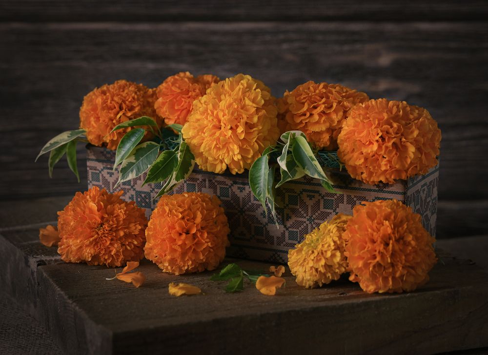 Photograph by Inna Ivanova