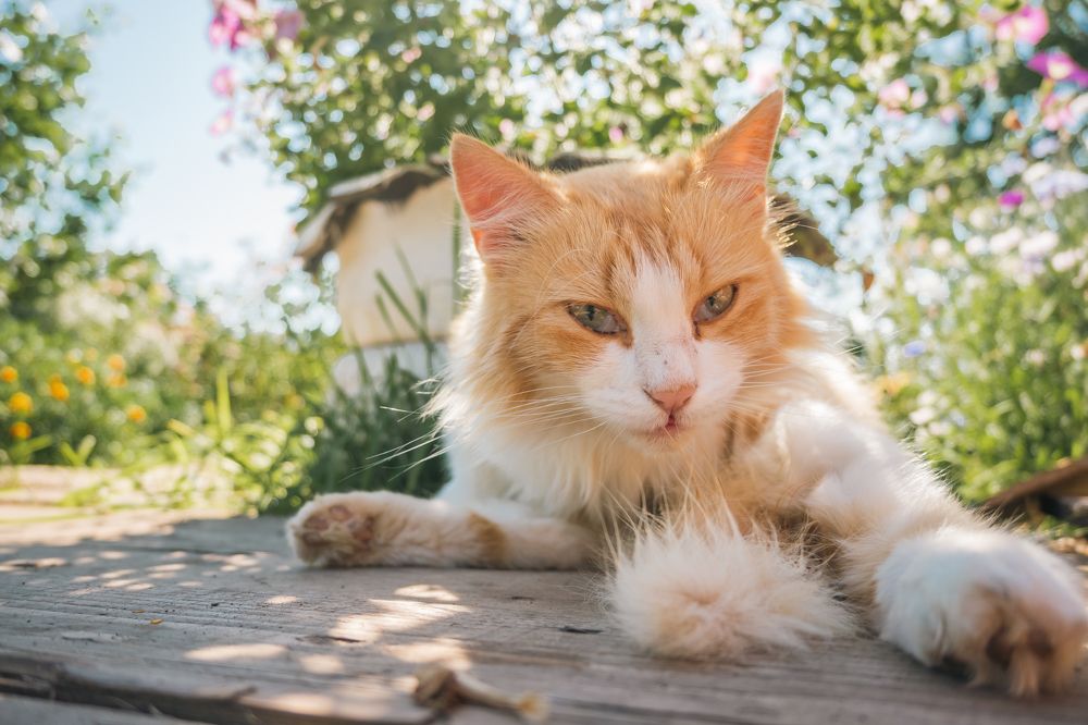 Photograph by Денис Пономарёв