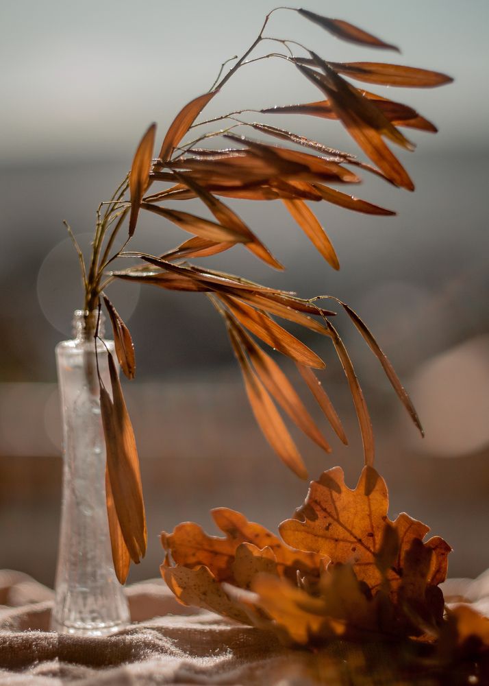 Photograph by Magic Helios