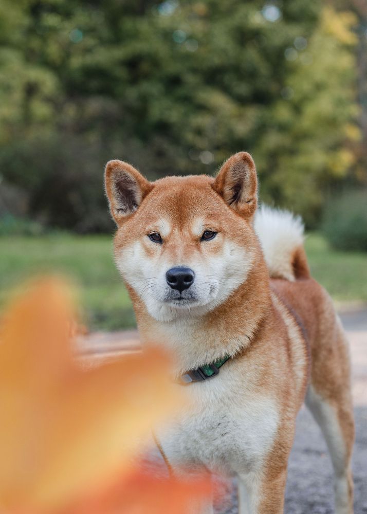Photograph by Юлия Сидорова
