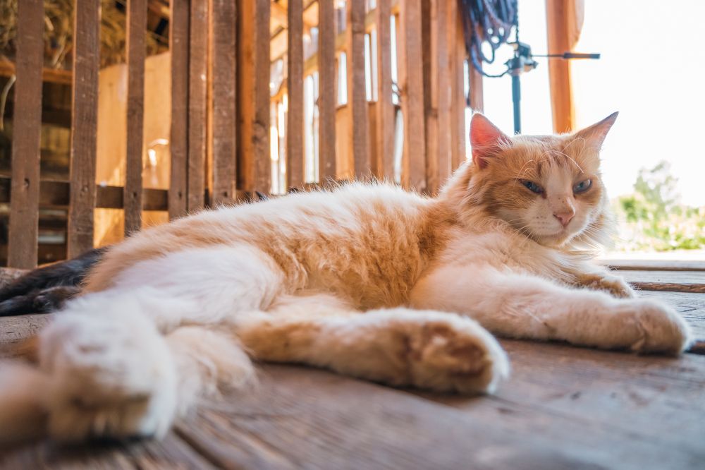 Photograph by Денис Пономарёв