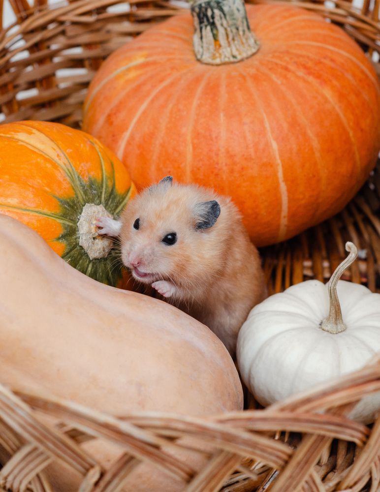 Photograph by Юлия Сидорова