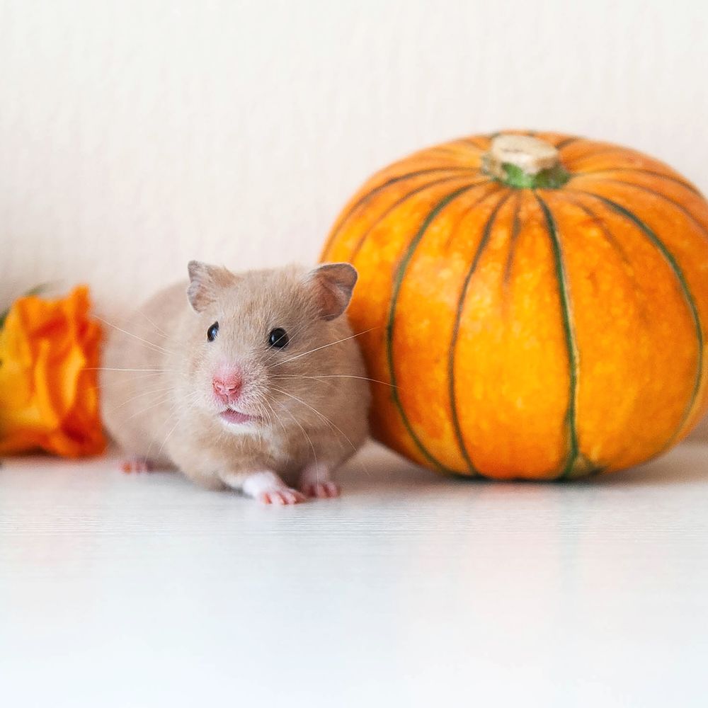 Photograph by Юлия Сидорова