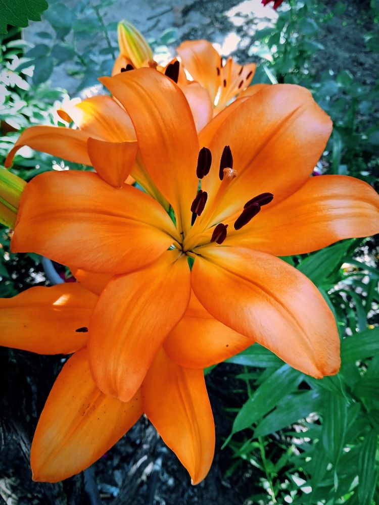 Photograph by Наталья Назаренко