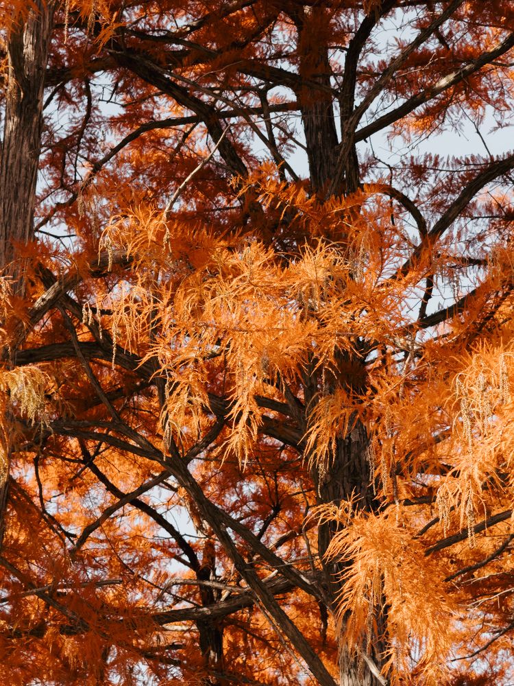 Photograph by Анна Голубцова