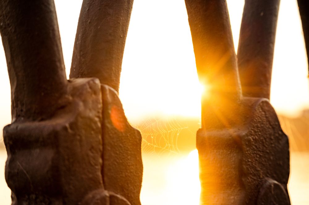 Photograph by Денис Пономарёв