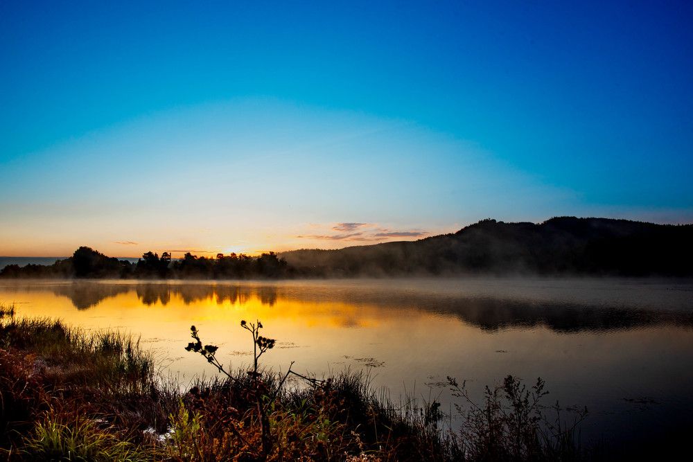 Photograph by Елена Прохорова