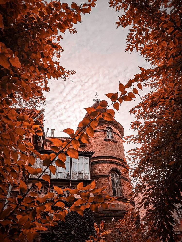 Photograph by Мария Цепилова