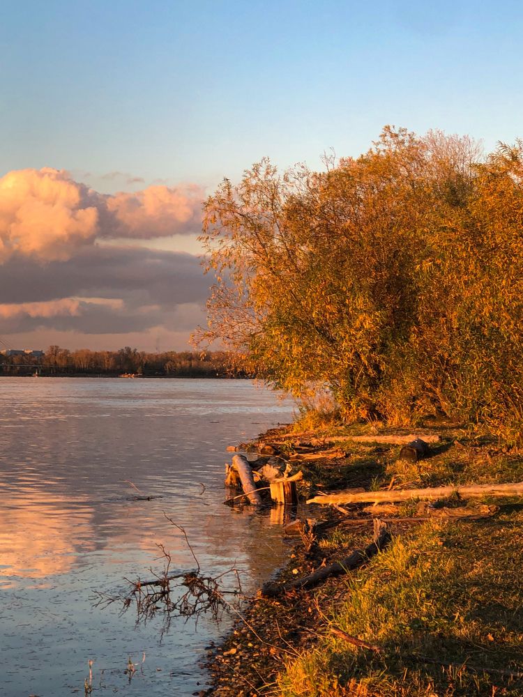 Фотография автора Светлана Гончарова