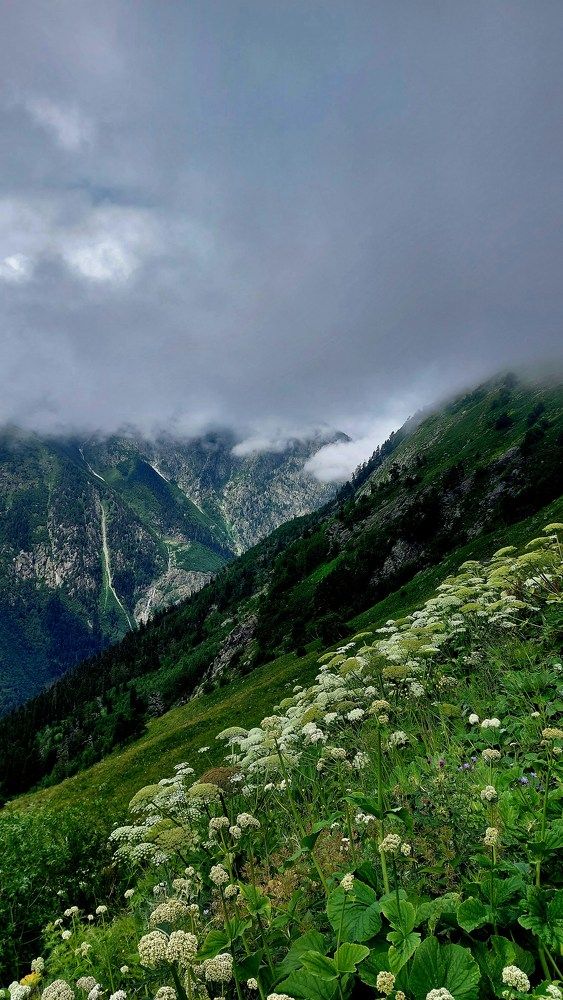 Photograph by Мария