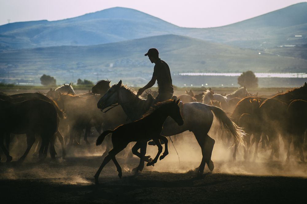 Photograph by DAMOUN POURNEMATI