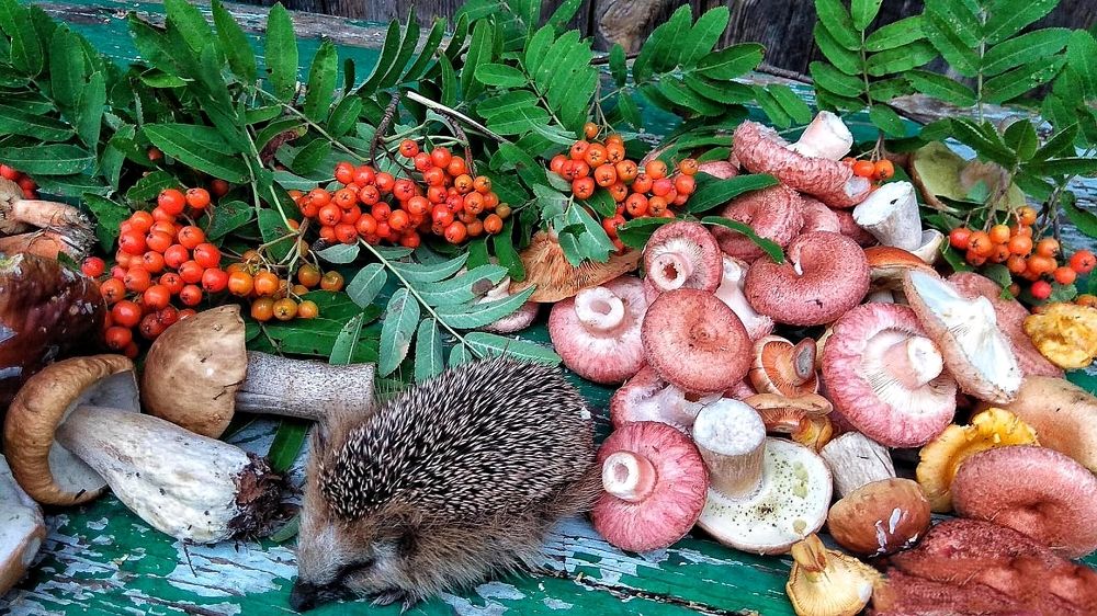 Photograph by Татьяна Исаева