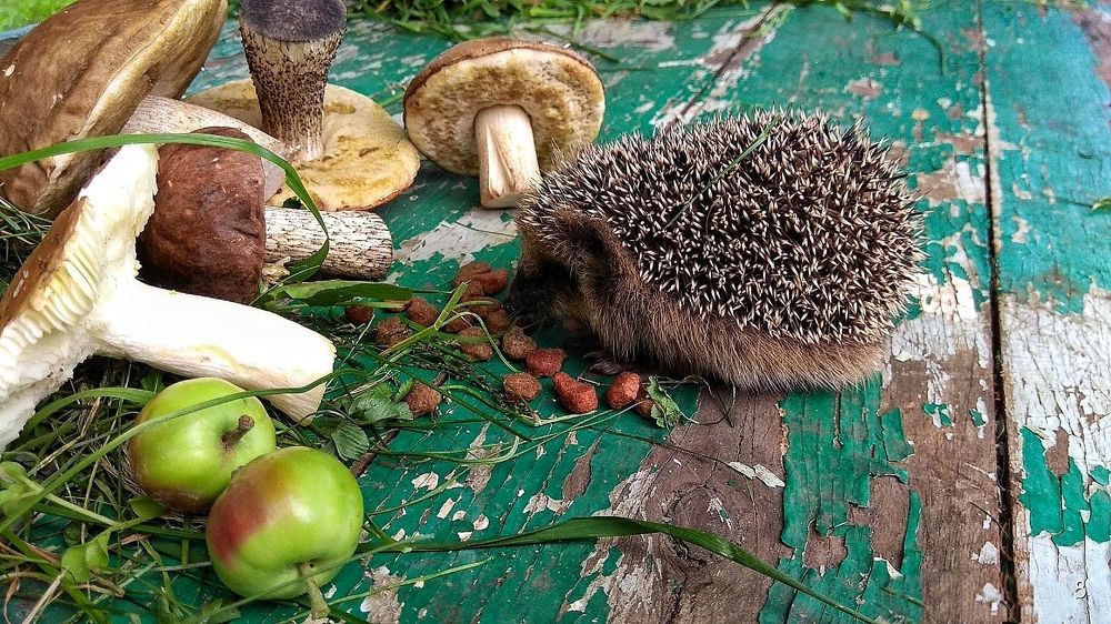 Photograph by Татьяна Исаева