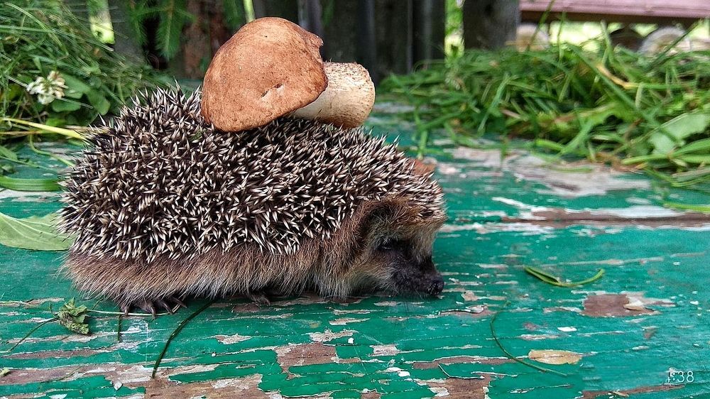 Photograph by Татьяна Исаева