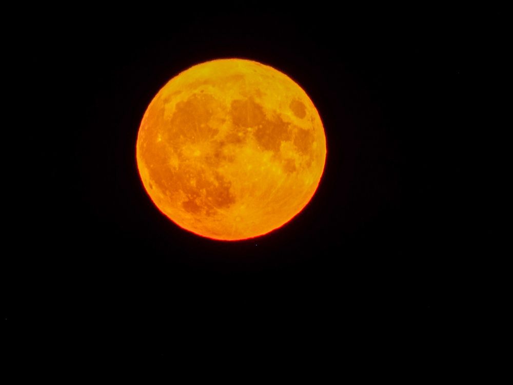 Фотография автора Анастасия Шафоростова