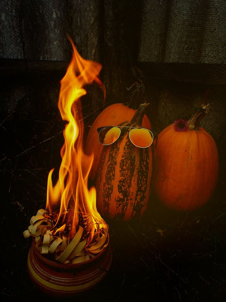 Фотография автора Анастасия Шафоростова