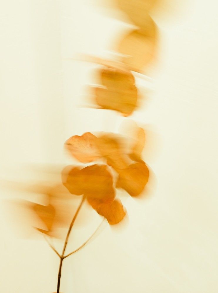 Photograph by Юлия Бурминская