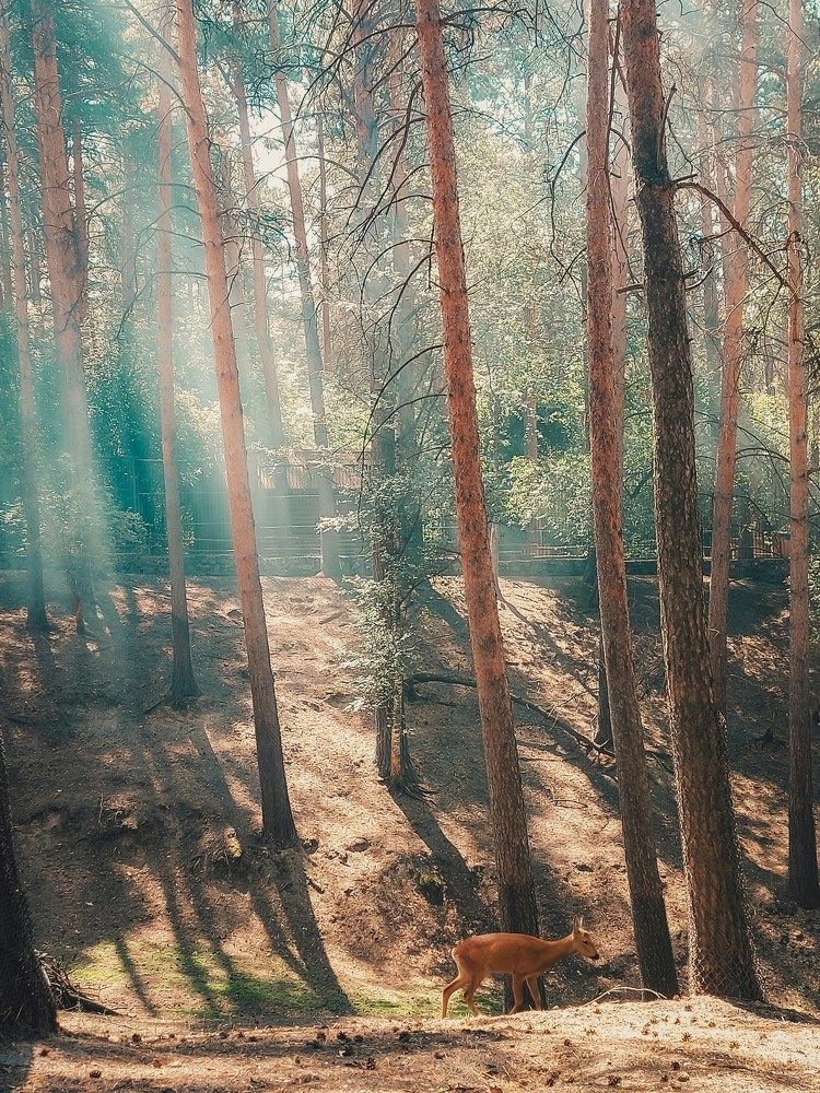 Photograph by Мария