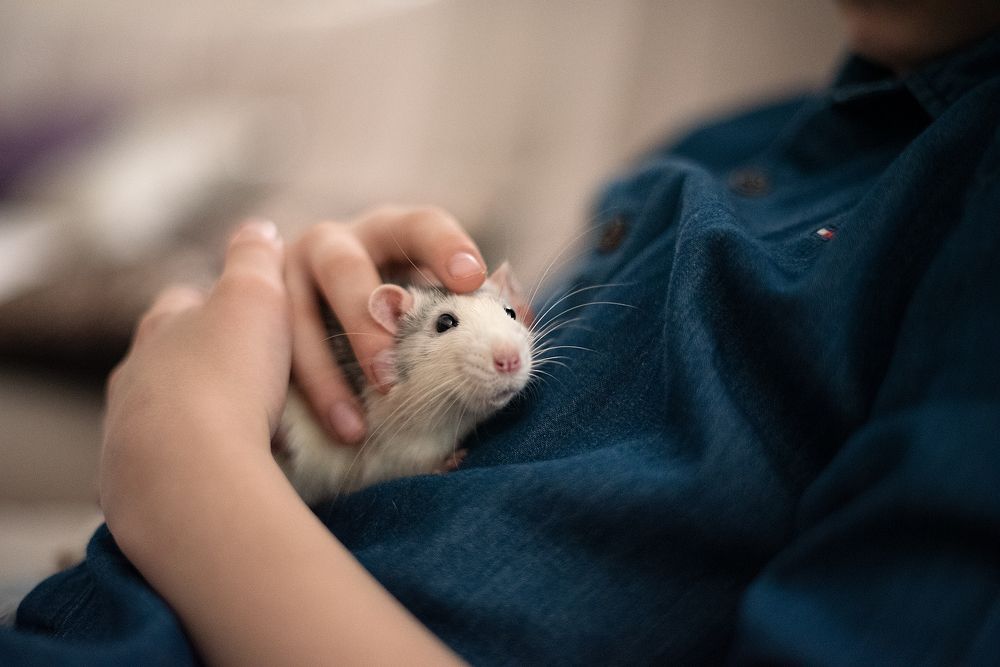 Photograph by Мария Брызгалова