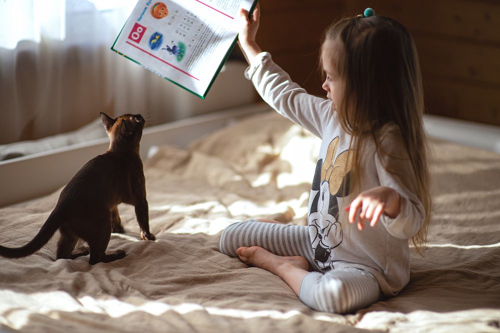 Photograph by Мария Брызгалова