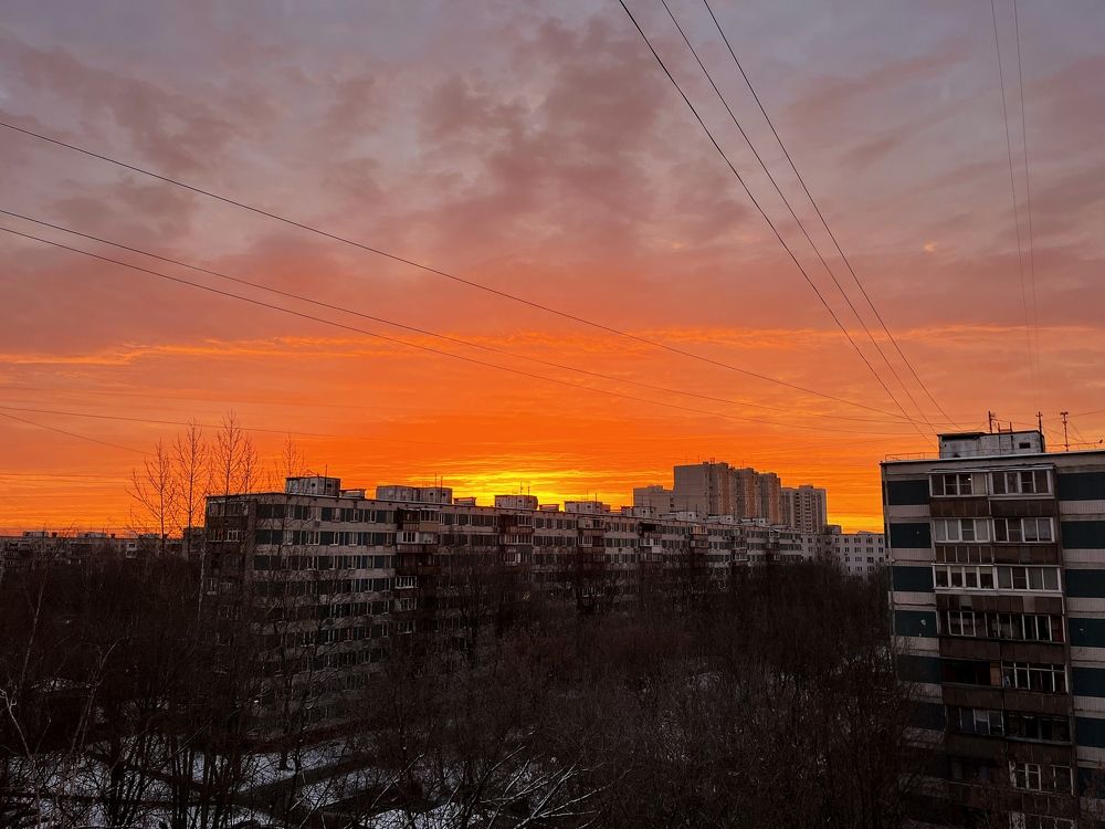 Фотография автора Мария Жданова