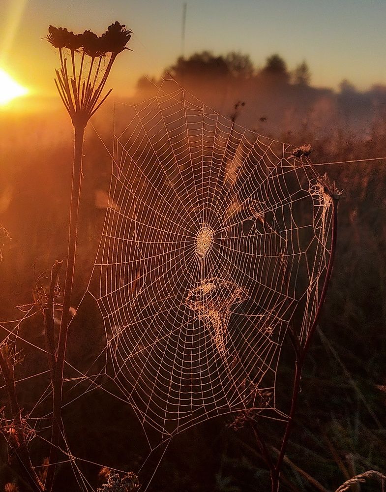 Photograph by Ольга Мартьянова