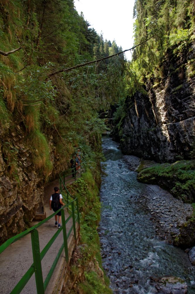 Photograph by Михаил Жарский