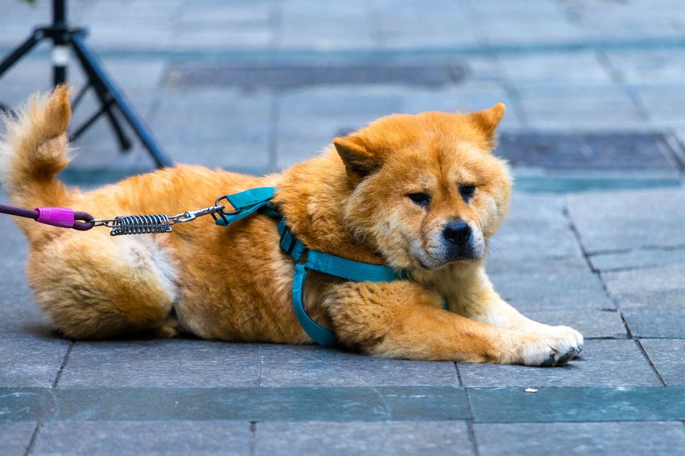 Photograph by Siarhei Saladukhin