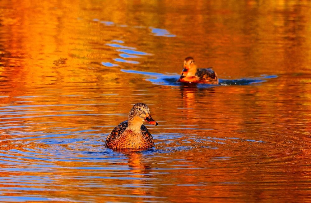 Photograph by Серёга Ануфриев